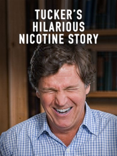 Why Everyone at Zyn Headquarters Walked Funny — Explained