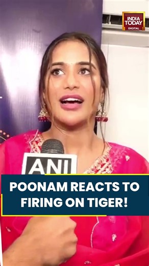 Tiger Shroff Firing Incident: Poonam Pandey Reacts #tigershroff #poonampandey #bollywood