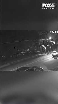 New surveillance video shows moments after Bronx shooting