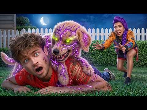 My New Puppy Turned EVIL! (KPop Demon Hunters)