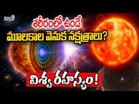 Rare Supernova Reveals a Star's Hidden Inner Layers | శరీరంలో ఉండే మూలకాల వెనుక నక్షత్రాలు?