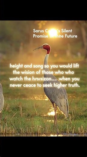 fyp Wake Up 11:11 PM FYP – Sarus Crane’s Silent the Future Silent Promise 🦢✨