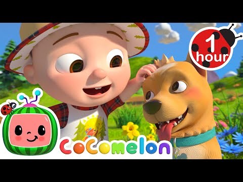 Family Adventure in the Mountains! ⛰️ Best Animal Videos for Kids | Kids Songs and Nursery Rhymes