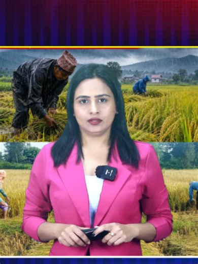 When to Harvest Rice in Nepal: Why You Should Wait Until After November