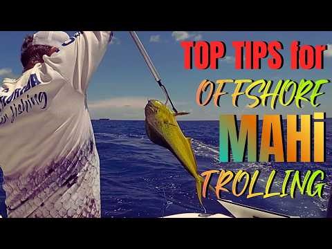 TOP TIPS for Offshore MAHI trolling