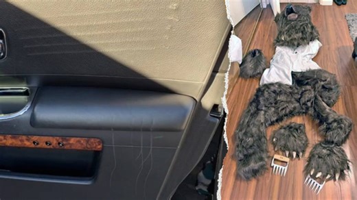 Person in bear costume caught on video attacking luxury cars in alleged insurance scam