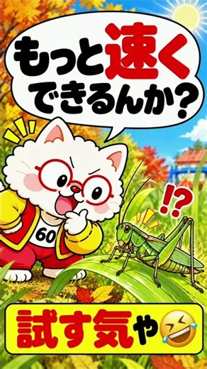 キリギリス、昼に鳴く!?😳☀️夜の虫だと思ってたばぁば。昼でも元気な理由を知ったら…また余計なことを🤣#キリギリス #昆虫 #虫の豆知識 #ねこばぁば劇場
