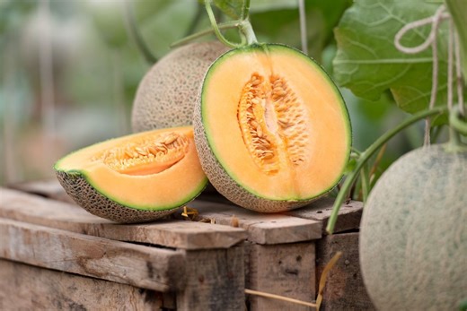 Cantaloupes recalled across several states over risk of 'death'
