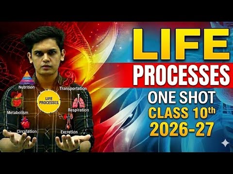 Life Processes Complete Chapter🔥| CLASS 10 Science | NCERT Covered 