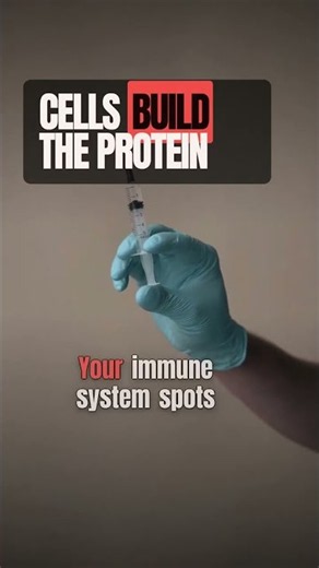 How do mRNA vaccines work?