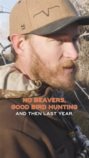 Beavers and Ducks: A Challenging Habitat for Hunters