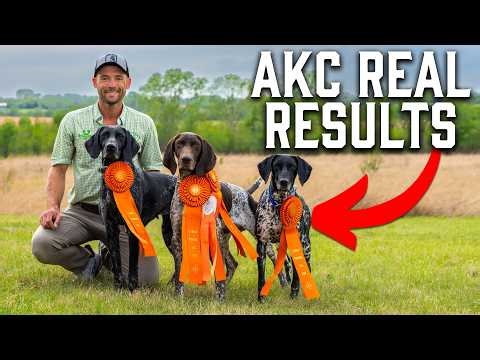 229. REAL Examples of AKC Hunt Test | Pass and Fail