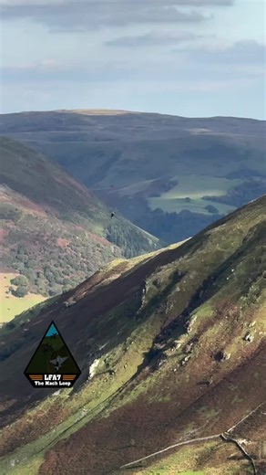 Darryl Olsen on Instagram: "Check out this amazing clip from the Mach loop, filmed by 🎥@lfa7themachloop, #fox3media #aviation #planespotting"