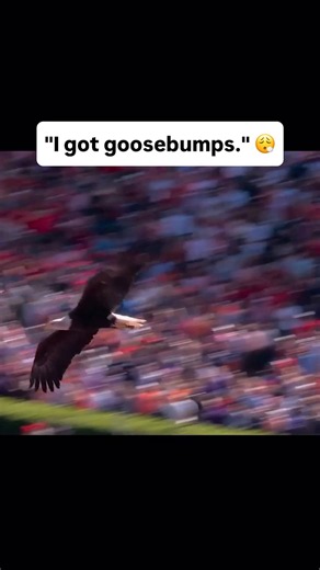 Auburn War Eagle Tradition Explained
