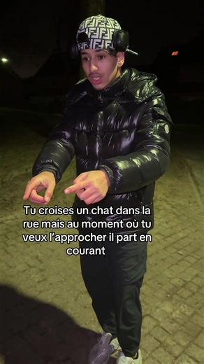 Imitation de Chats : Moment Drôle en Rue