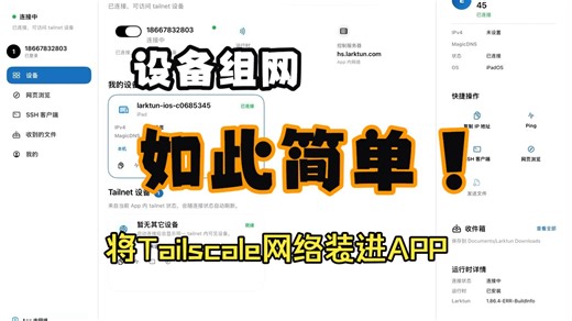 告别系统代理❌ iPad和iPhone上将Tailscale/Headscale网络内置到APP里📱✨ 云雀通 Larktun