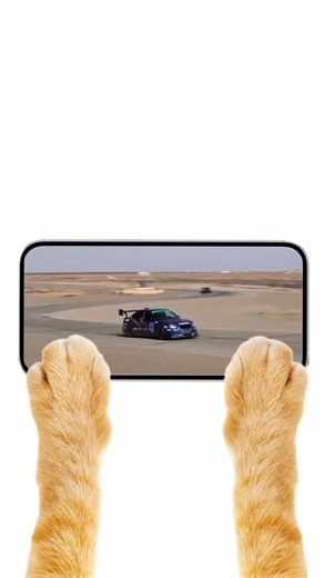 Understanding Time Attack Racing in One Minute