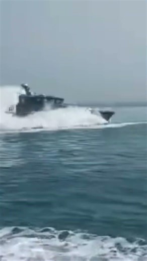 Unmanned Surface Vessel (USV）