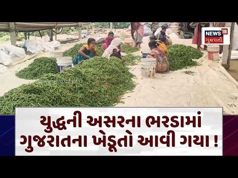 War Effect On Valsad Agriculture | યુદ્ધની અસરના ભરડામાં ગુજરાતના ખેડૂતો આવી ગયા ! | Farmers | N18G