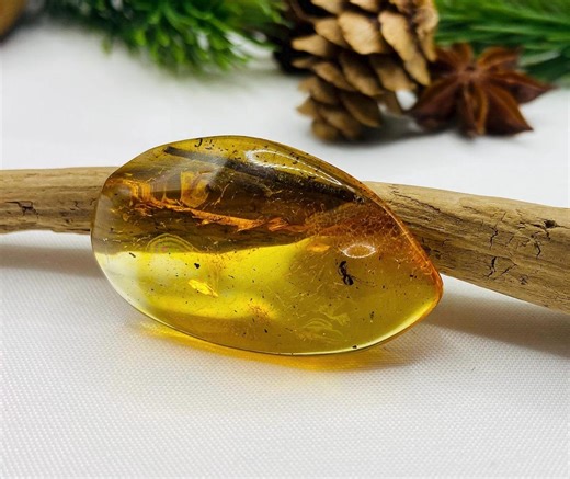 Baltic Amber Fossilised Ant Inclusion, Genuine Insect in Baltic Sea Gemstone - Etsy UK