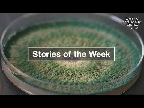 India's Growth Strategy & How AI Could Transform Work by 2030 | WEF | Top Stories of the Week