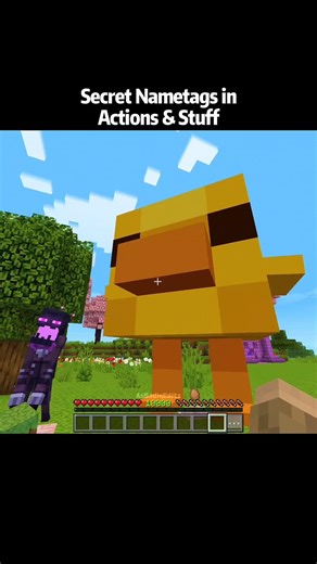 Minecraft Secret Nametags in Actions & Stuff 1.10 Update