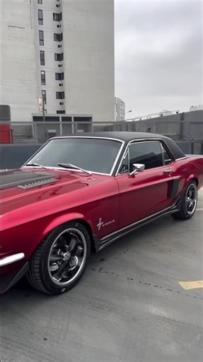 The Mustang From Hell - 1967 Ford Mustang
