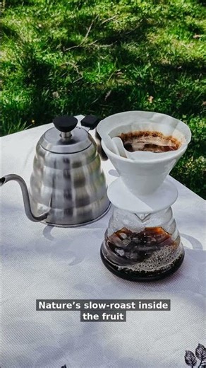 High Altitude Secretly Transforms Your Coffee Beans ☕🏔️