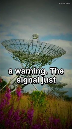 Space signal decoded after 157 day cycle