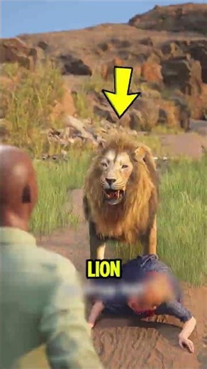A Lion Is Right in Front of You... Don't Run! 😳🦁