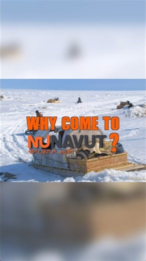 Why Come To Nunavut? #travelnunavut #nunavut #canada #animals #travel #wow