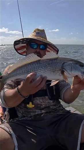 REDFISH Fishing 🎣 What redfish love to eat #redfish #fishing #saltwaterfishing