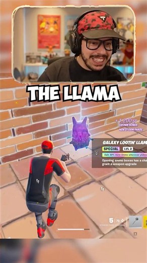 The *RARE* Llama Sprite Game Show!