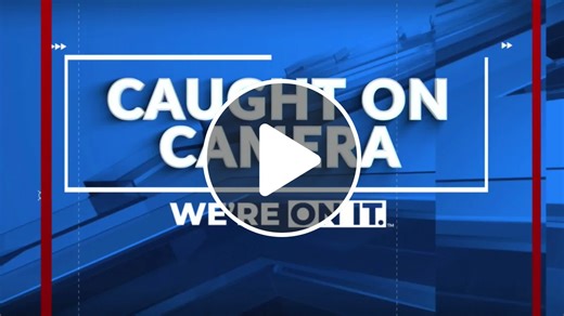 Tree explodes after being hit by lightning in Aurora - NewsBreak