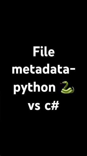 File metadata - python 🐍 vs c#