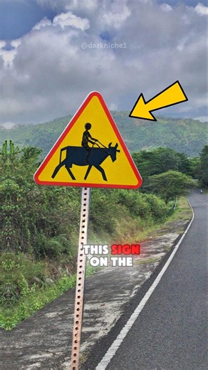 Slow Down Immediately If You See This Sign❗️😵