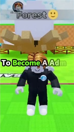 How To Become Admin In Roblox Steal An Egg