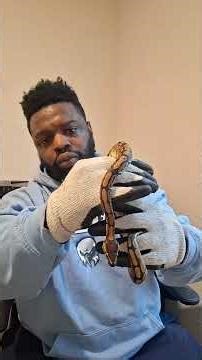 me holding my snake