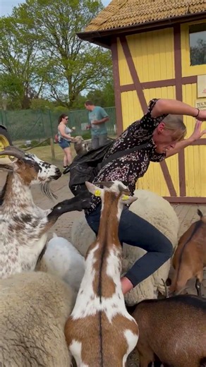 The FUNNIEST Pets You've Ever Seen!