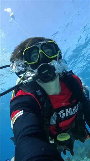 Diving in Curaçao 🐢🌊