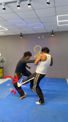 This Kick Can Stop Anyone 😳 Oblique Kick Tutorial #mma #selfdefense #fighttips