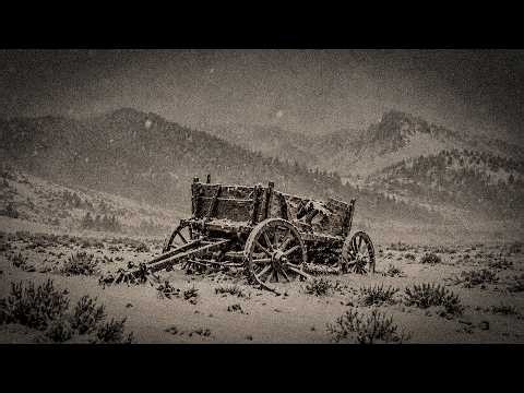 The Horrors of the Trail of Tears