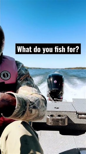Bass vs Crappie vs Striper