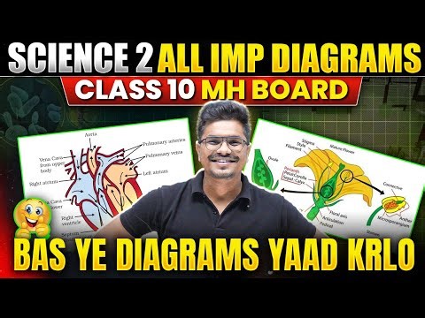 🤯 All Important Diagrams in One Shot | Class 10 BIOLOGY | MH Board 2026