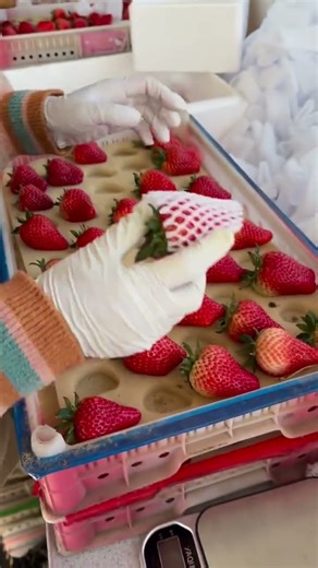 The Cutest Fruit Ever? 🍓 Sweet Strawberry Aesthetic #Shorts