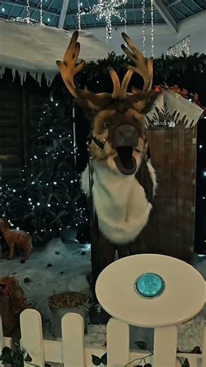 Life in Preston UK 🇬🇧 | Real UK Town Vibes