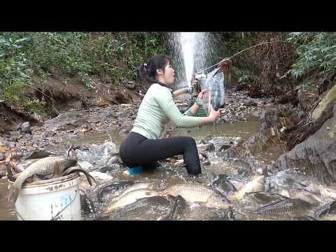 Interesting fishing: Use a pump drain the water from a nearly dry puddle, catching a lot of big fish