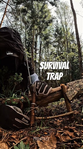 Survival Hunting Trap #survival #trap #bushcraft