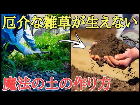 目からうろこの雑草対策｜笹やスギナやドクダミが生えなくなる土の作り方