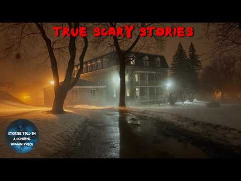 12 Chilling TRUE Scary Stories That Will Haunt You! (Art Showcase W/ LufflyStuff)